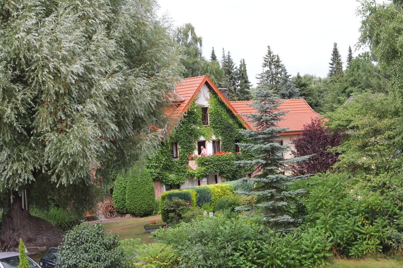 Hotel-Pension Haus Holtdirk Lippstadt Szoba fotó